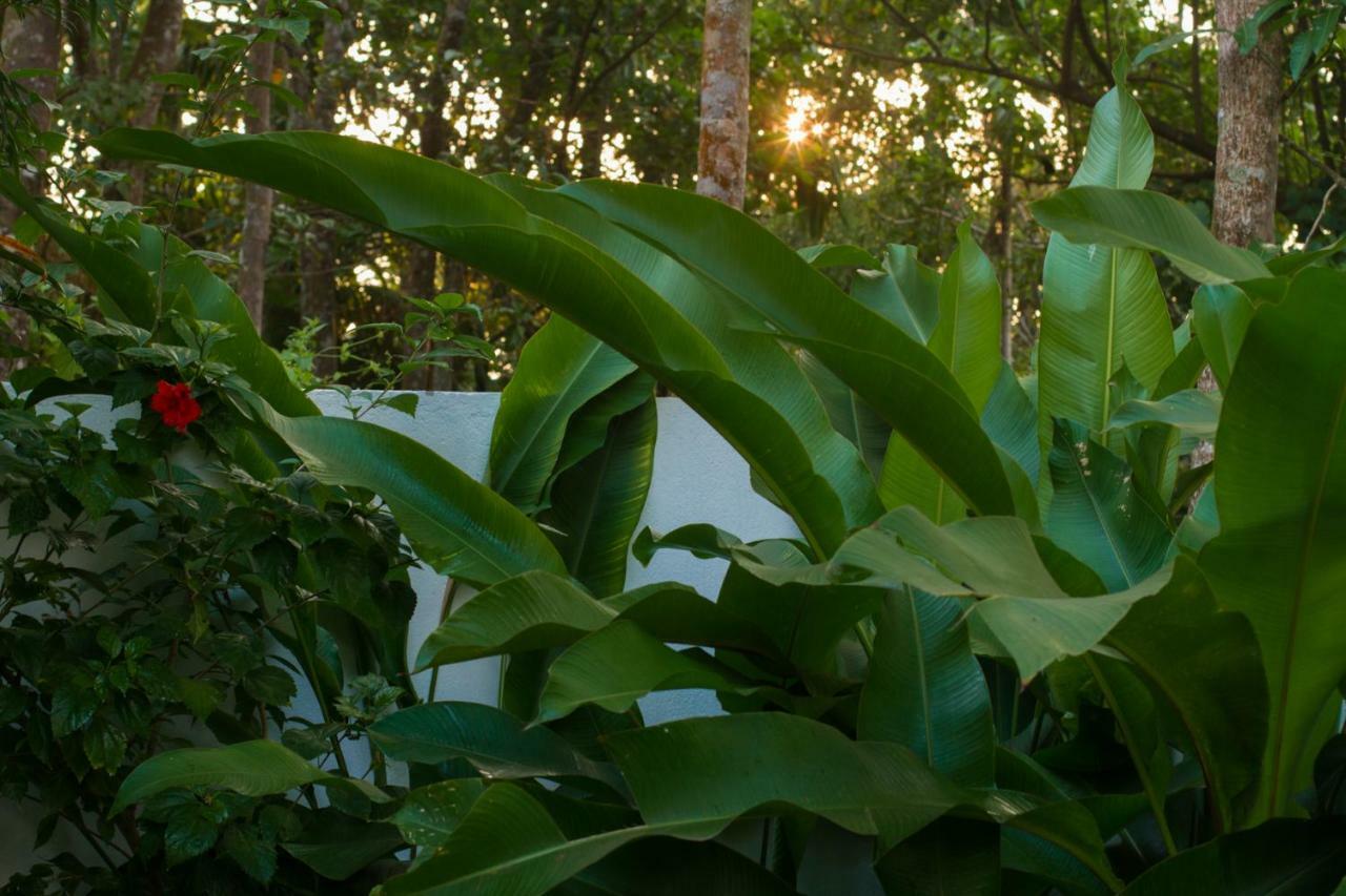 Villa Mia Mararikulam Exterior foto